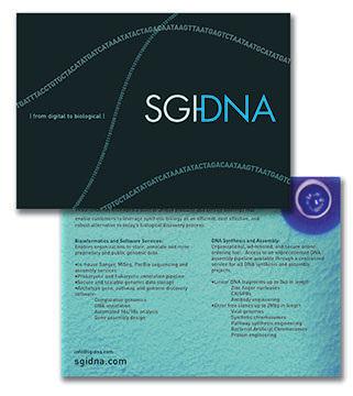 SGI-DNA brand identity system